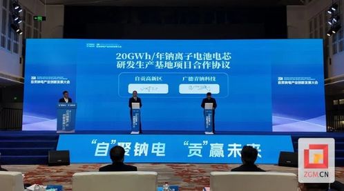 擁抱綠色未來 2024自貢鈉電產(chǎn)業(yè)創(chuàng)新發(fā)展大會召開