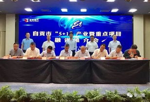 總投資額531.39億元 自貢推介 5 1 產(chǎn)業(yè)重點(diǎn)項(xiàng)目100個