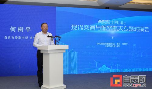 何樹平 借力兩院院士團隊資源 為再造產業(yè)自貢提供智力支持